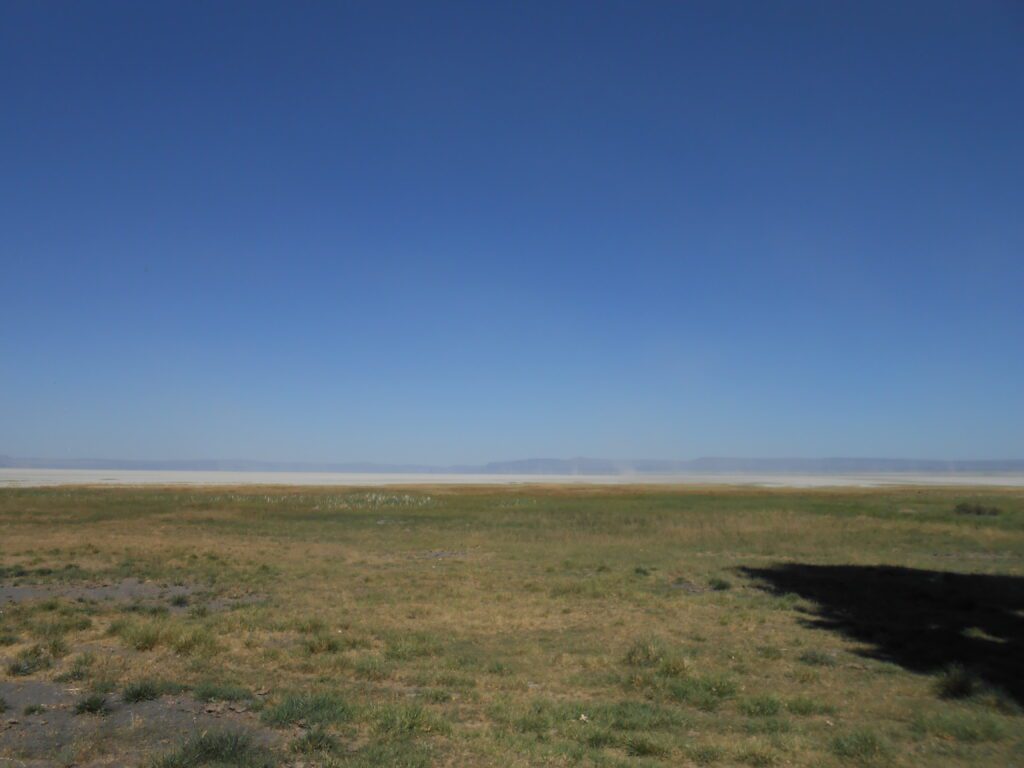 Engaging Your Baseline Emotional State