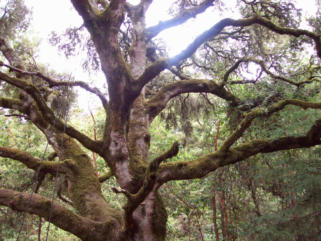 The Importance of Regular One-on-one Sessions