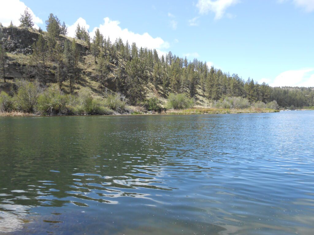 Staying as Awareness