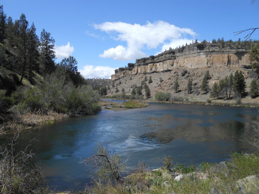 Spiritual Oneness Experiences