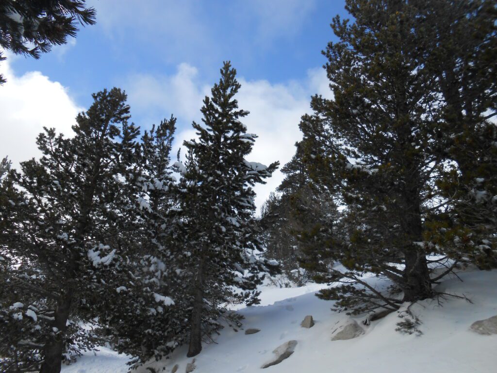 2022 Winter Break Rest and Donations