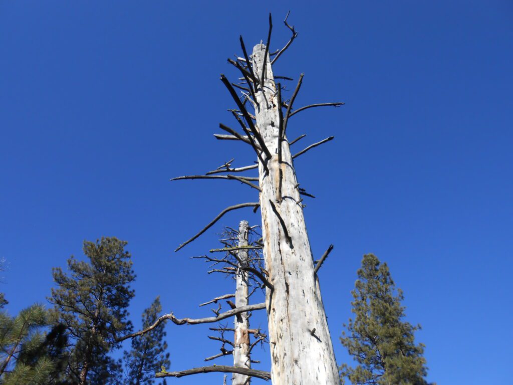 Imbalances Caused by Spiritual Growth