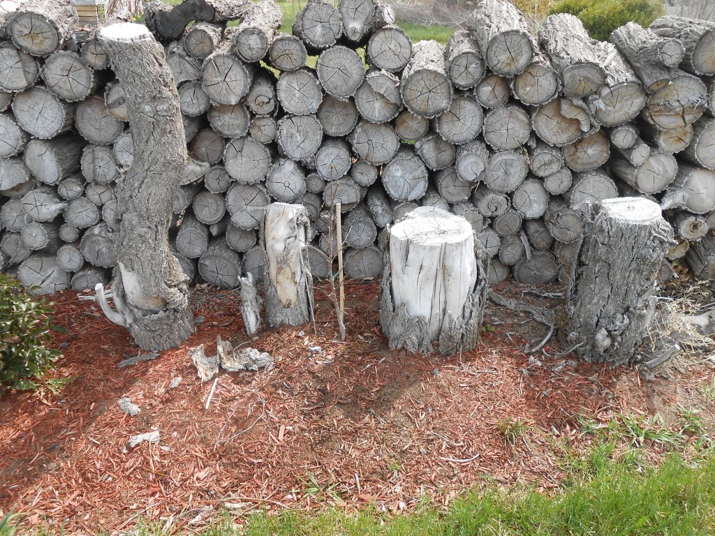 The Power of Communal Care