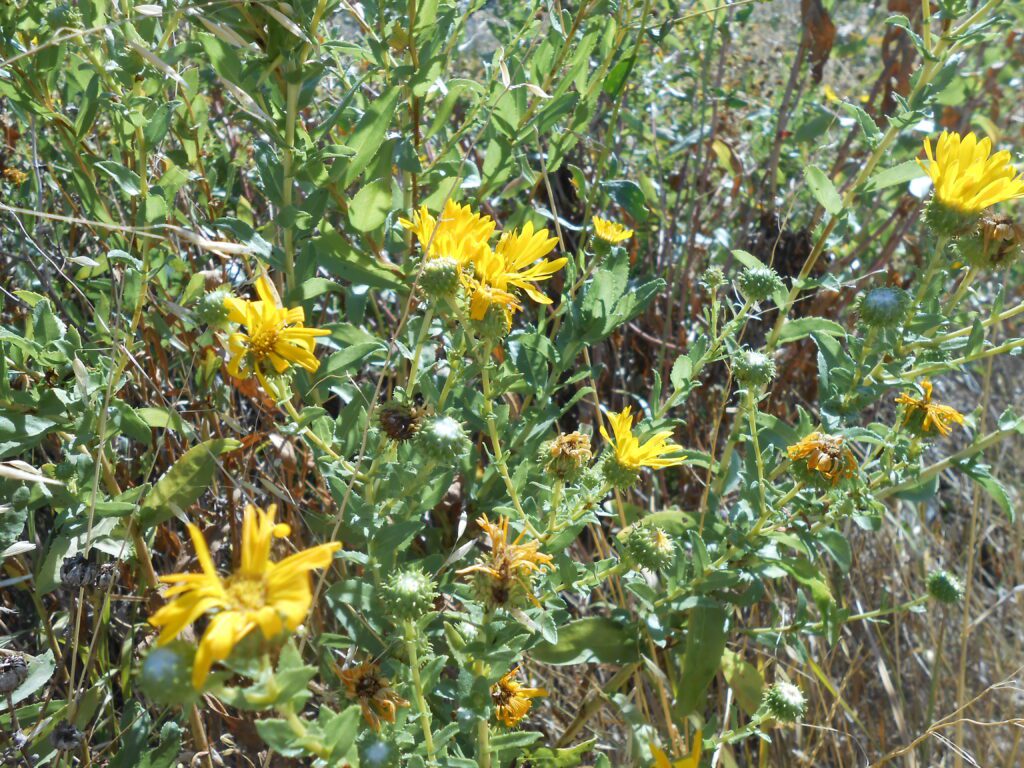 Understanding Spiritual Sexuality