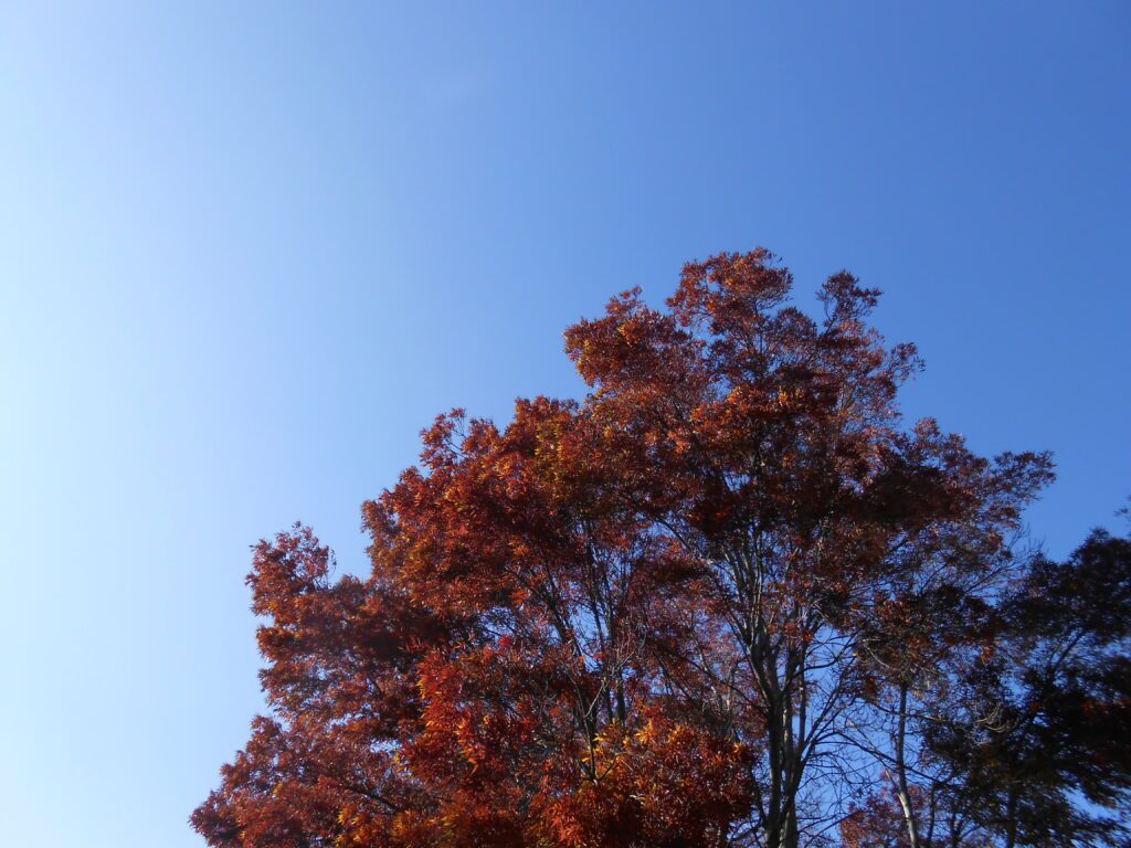 Recording: When to Intensify a Spiritual Awakening