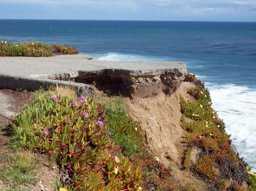 No Thoughts, But Plenty of False Beliefs