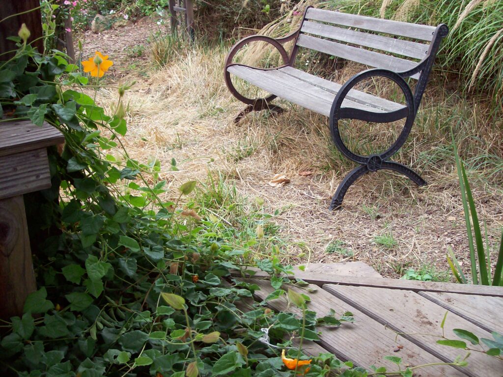 Spiritual Self-care and Rest After Processing