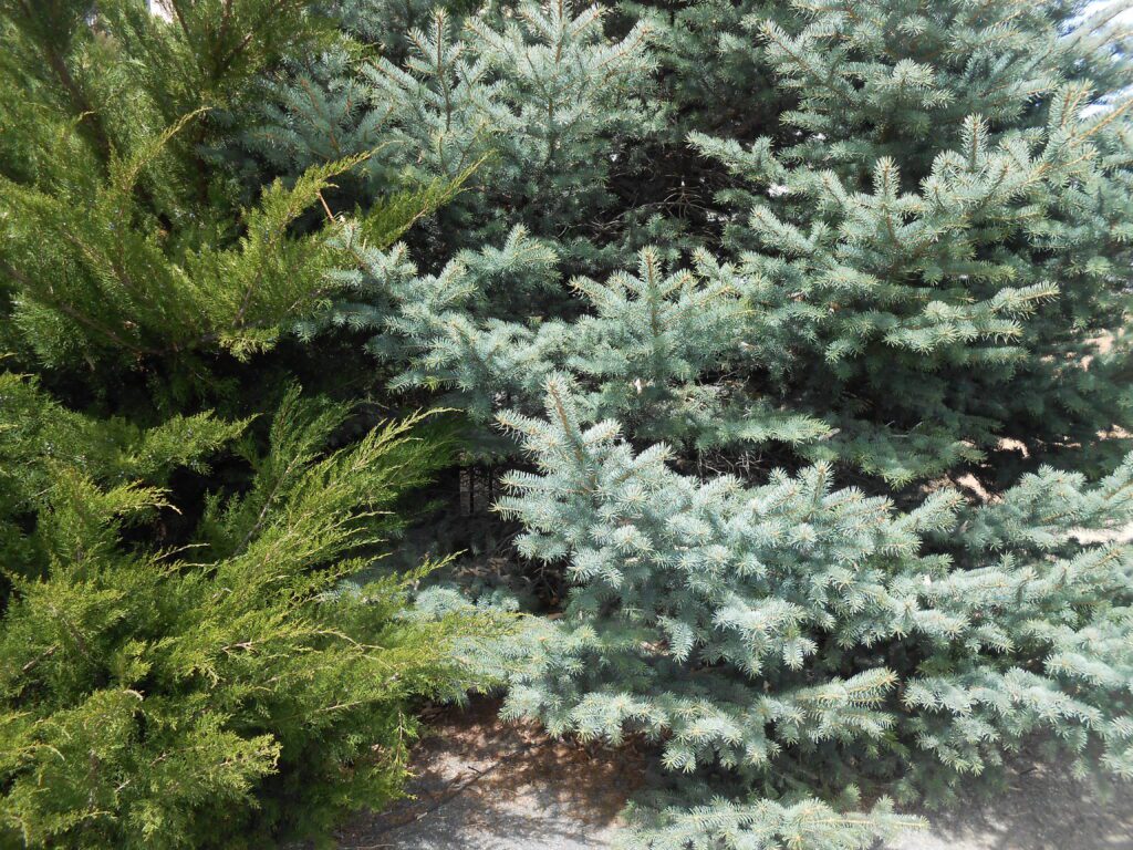 Awakening Energy and Not Being Ready for It