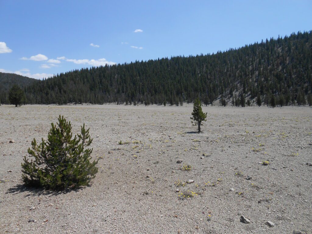 Interrupting Your Regularly Scheduled Ego