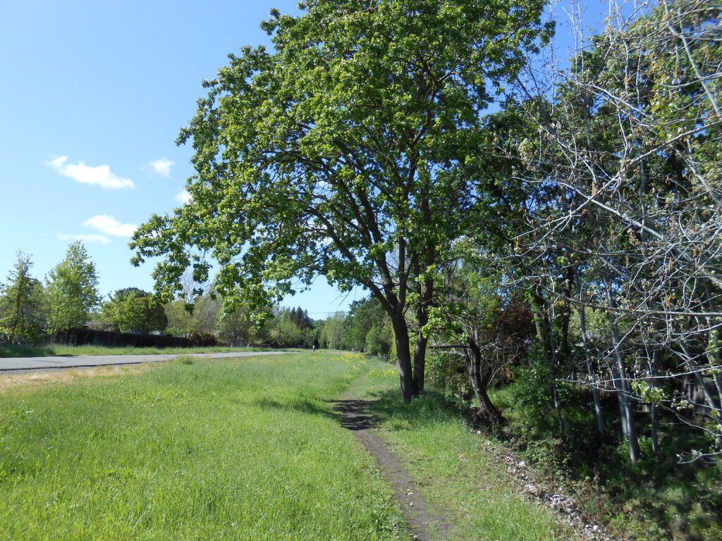 Meditative Monday: Making Big Changes