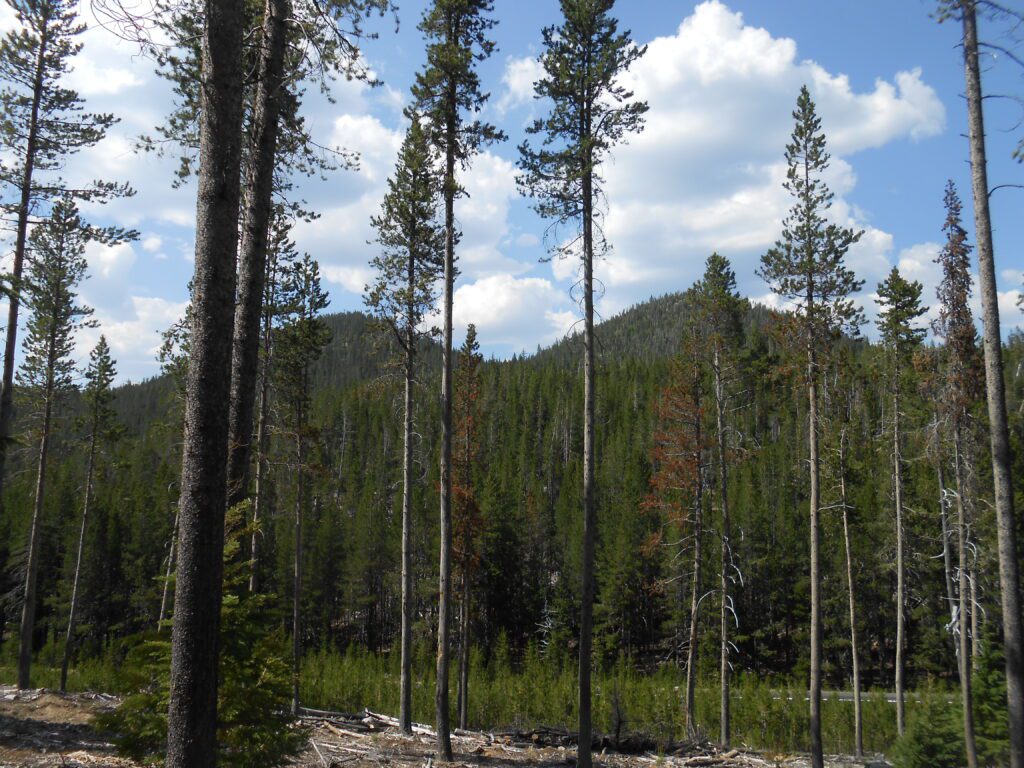 The Spiritual Backslide