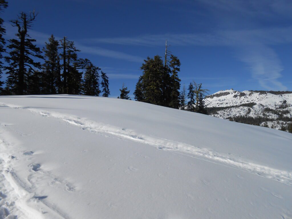 It’s Winter Nap Time snow, donner summit, winter hiking, snowshoeing