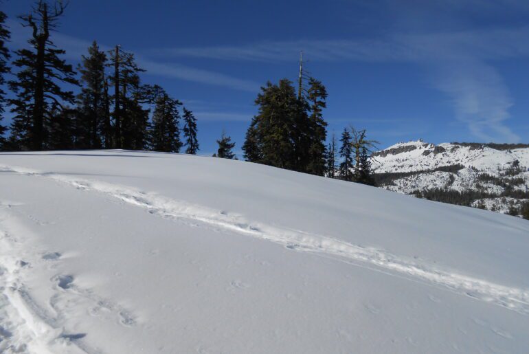 snow, donner summit, winter hiking, snowshoeing