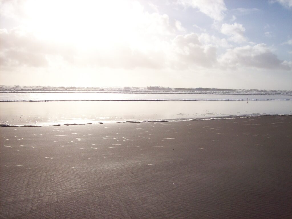 How to Let Go of Your Ego