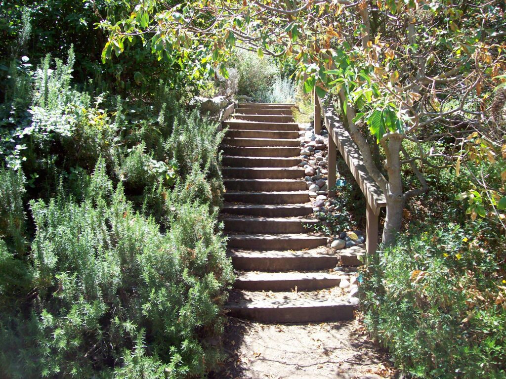 The Ego Desire for a Safe Future