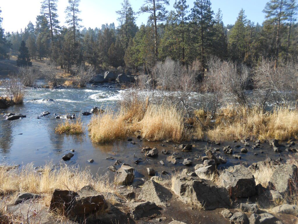 Being Unwanted by Your Family