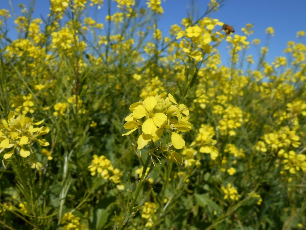 Lost in Spiritual Bliss: Reclaiming Your Self From the Trap of Good Feelings